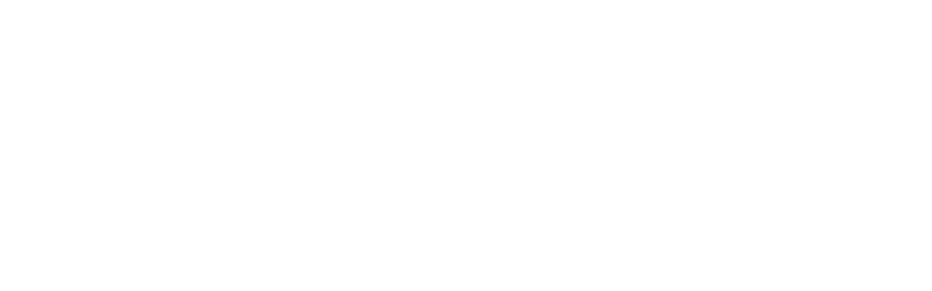Bouncer